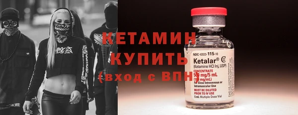 сатива Баксан