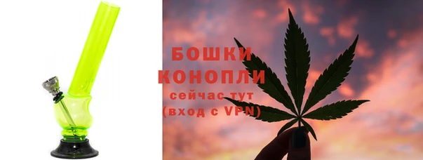 сатива Баксан