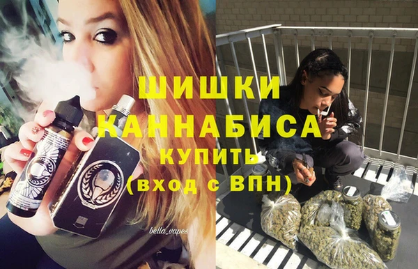 дживик Балахна