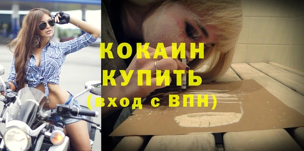 сатива Баксан